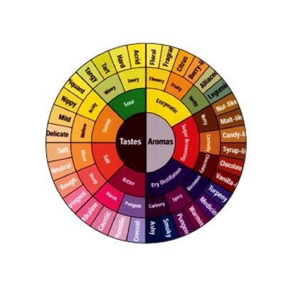 Tasting-Wheel.JPG