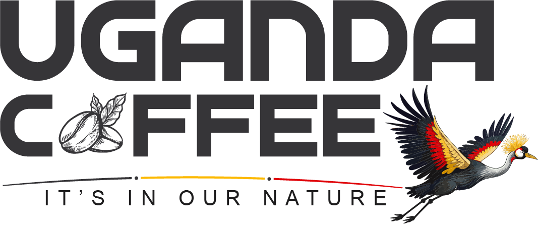 Uganda Coffee